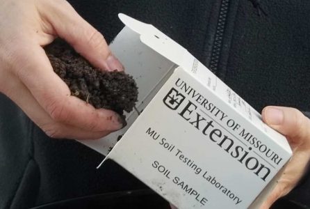Testing Garden Soil in Your Vegetable Garden Image
